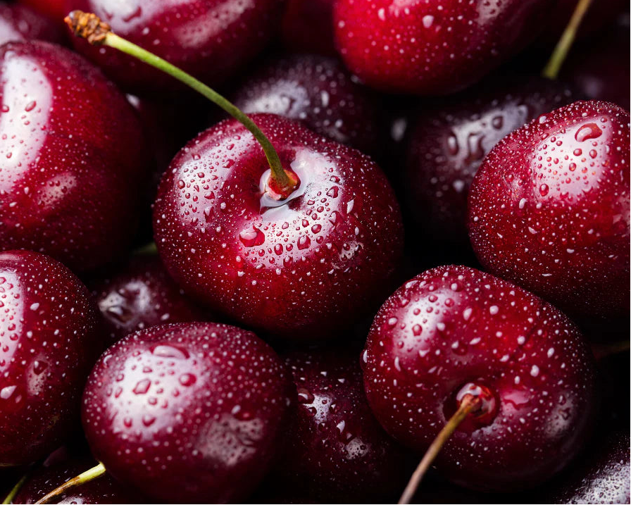 Fragancia cherry merlot premium