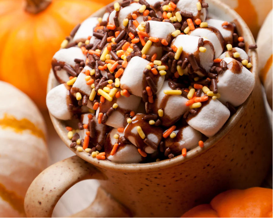 Fragancia vanilla pumpkin marshmallow premium